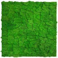 PANEL AKUSTYCZNY 11101 RICH GREEN - zielony, Konventionell, materiały naturalne (52/52/4cm) - Jangal