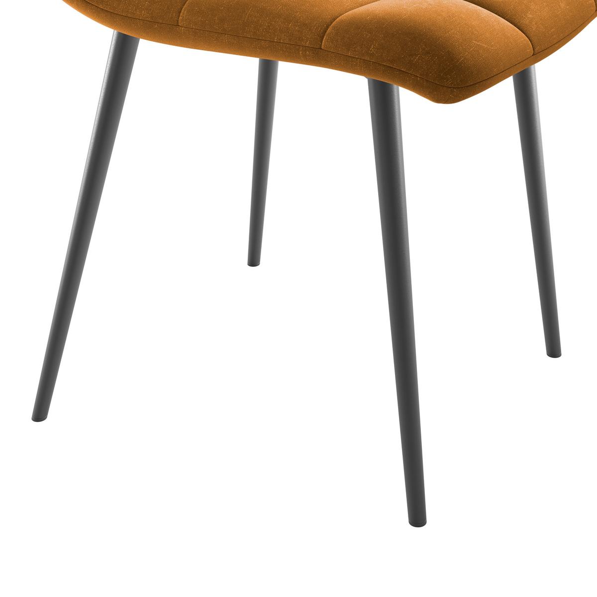 Stol Lech, Zlata - zlate barve/črna, Konvencionalno, kovina/tekstil (45/88/55cm) - Mömax