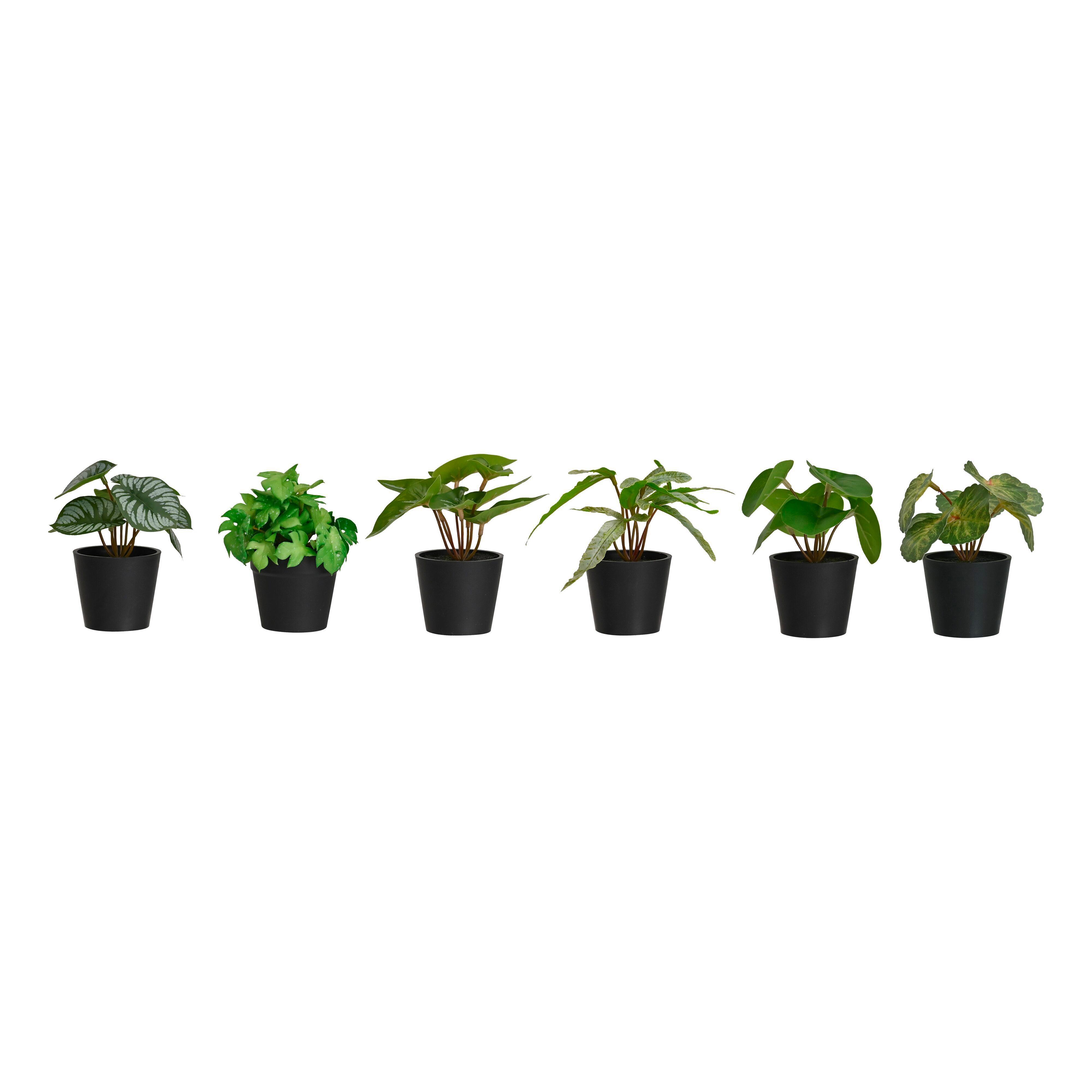 Kunstpflanze Pflanzengesteck in Grün, 6 Designs sortiert - Schwarz/Grün, Kunststoff (7/13cm) - Modern Living