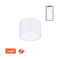 LAMPA SUFITOWA LED 07024L-15 - biały, Design, tworzywo sztuczne (15/15/10cm) - P & B