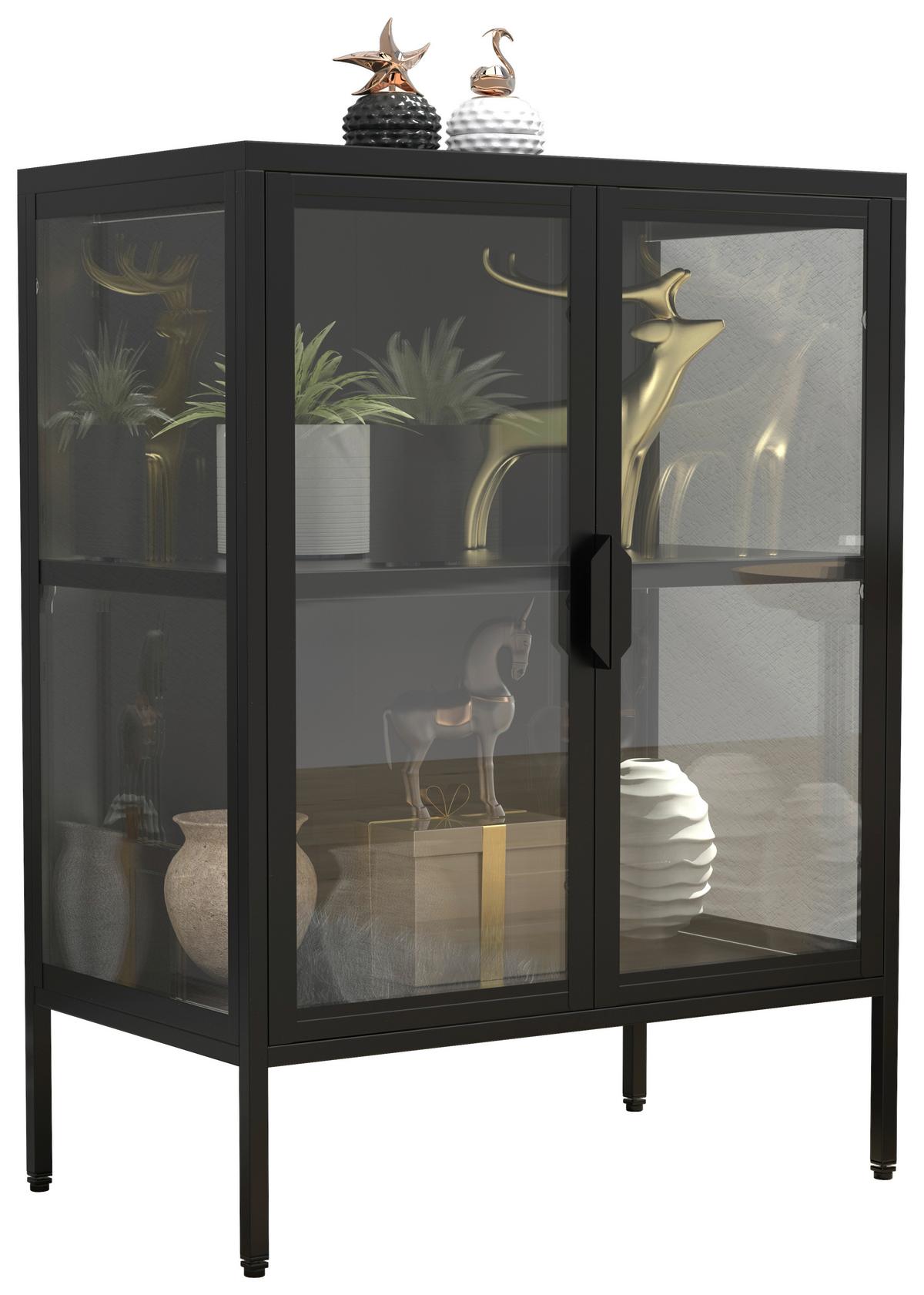 Vitrina Floka S, Črna - črna/prosojno, Design, kovina/steklo (60/80/35cm) - MID.YOU