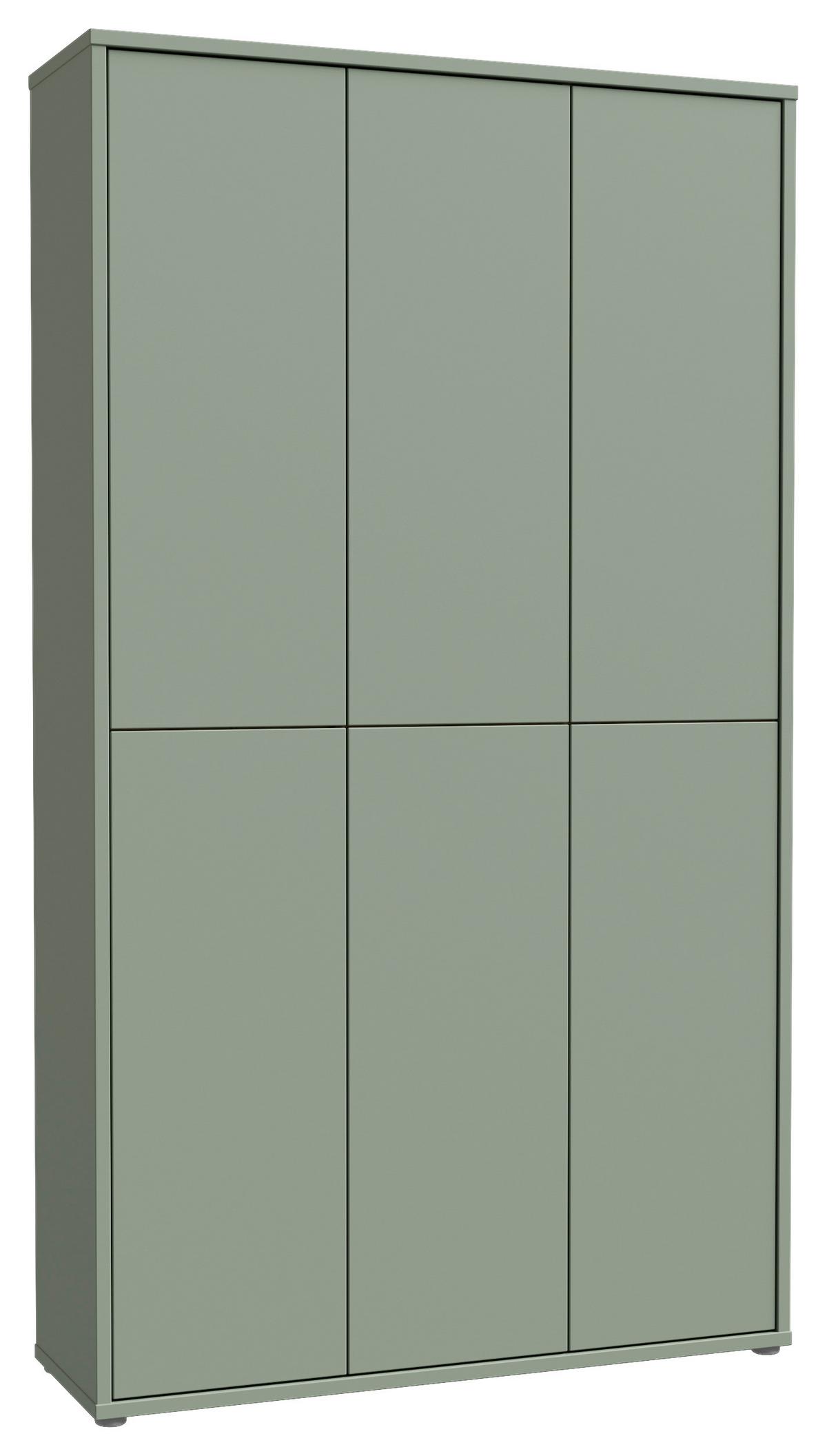 Ormar Za Cipele Alice Springs - siva/boje kadulje, Basics, drvni materijal/plastika (110/192/35cm) - Modern Living