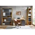 Regal Eichefarben - Eichefarben/Anthrazit, MODERN, Holzwerkstoff/Kunststoff (116,6/199,8/37cm) - Premium Living Regal Eichefarben - Eichefarben/Anthrazit, MODERN, Holzwerkstoff/Kunststoff (116,6/199,8/37cm) - Premium Living