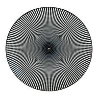 Plitvi Krožnik Shiva - črna/bela, Trendi, keramika (27/2,5cm) - Mömax