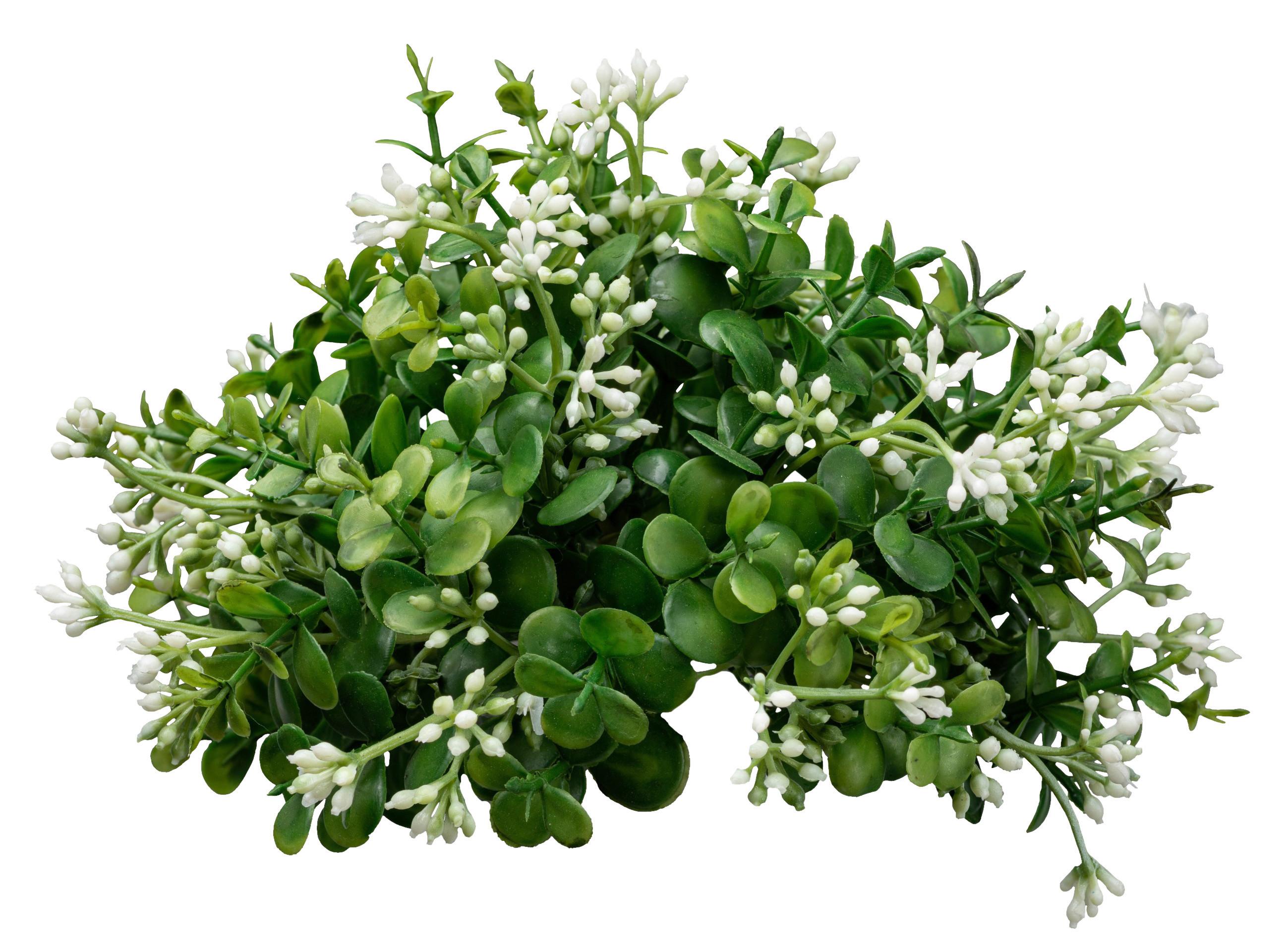 Kunstpflanze Eucalypthuskugel I in Grün/Weiß - Weiß/Grün, Basics, Kunststoff (15cm) - Modern Living