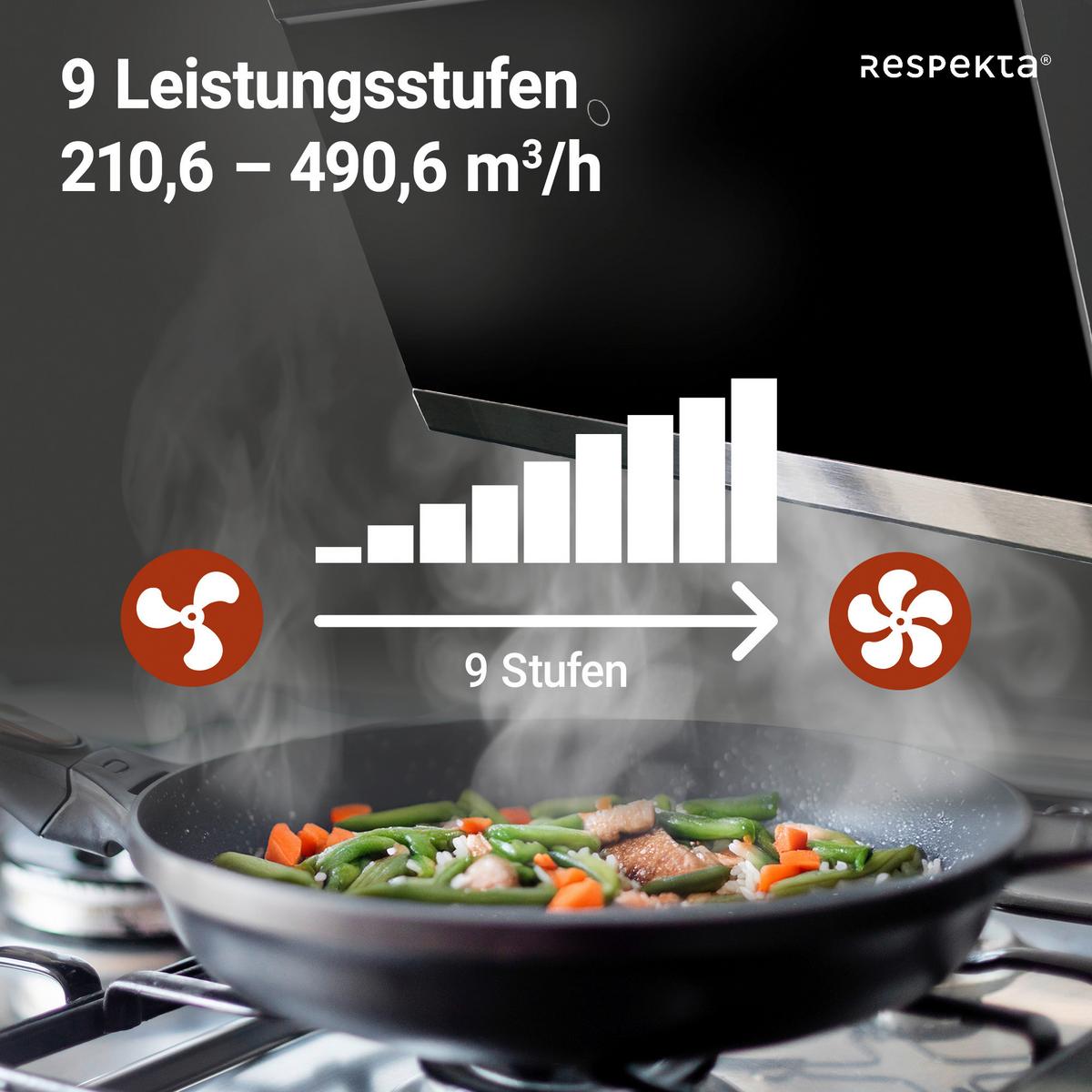 DUNSTABZUGSHAUBE RESPEKTA SKALA 60 CM - Schwarz, Trend, Glas/Metall (59,5/74,2-109,2/38,5cm) - Respekta