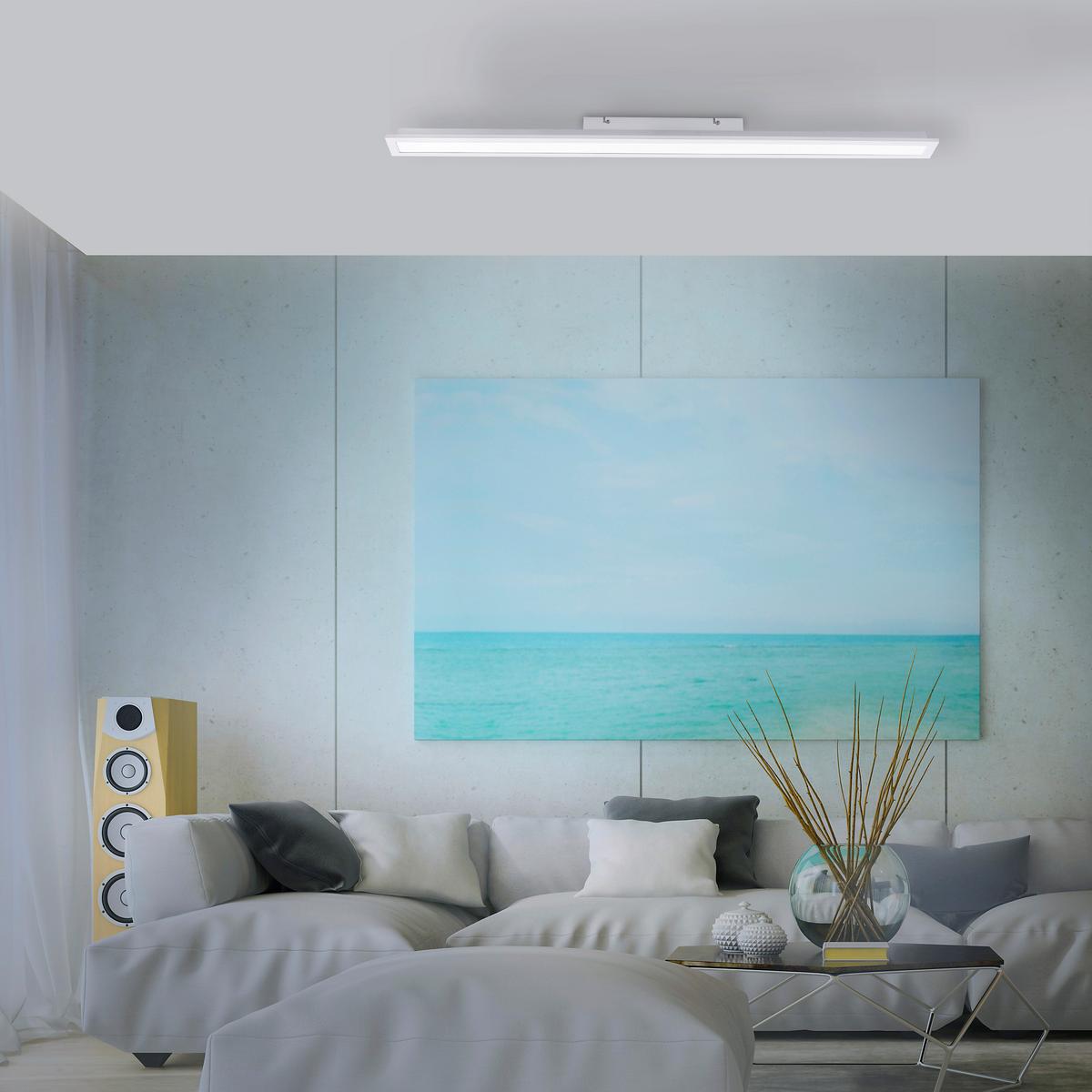 LED-Deckenleuchte Fleet max. 34 Watt - Basics, Kunststoff/Metall (100/10/6,6cm)