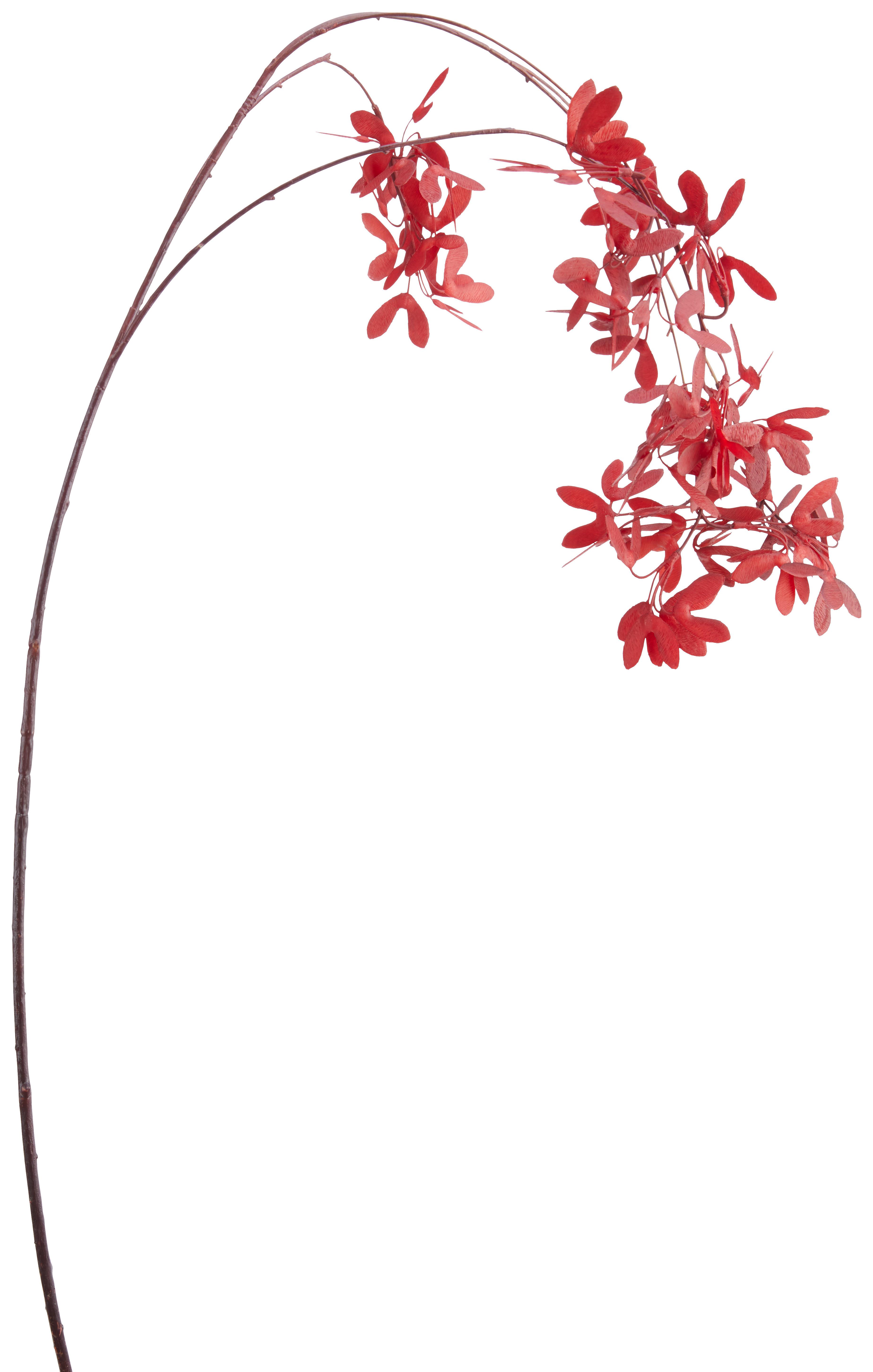 Dekor Gally Juhar - sötétvörös/barna, Basics, műanyag (115cm)