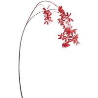 Dekor Gally Juhar - sötétvörös/barna, Basics, műanyag (115cm)