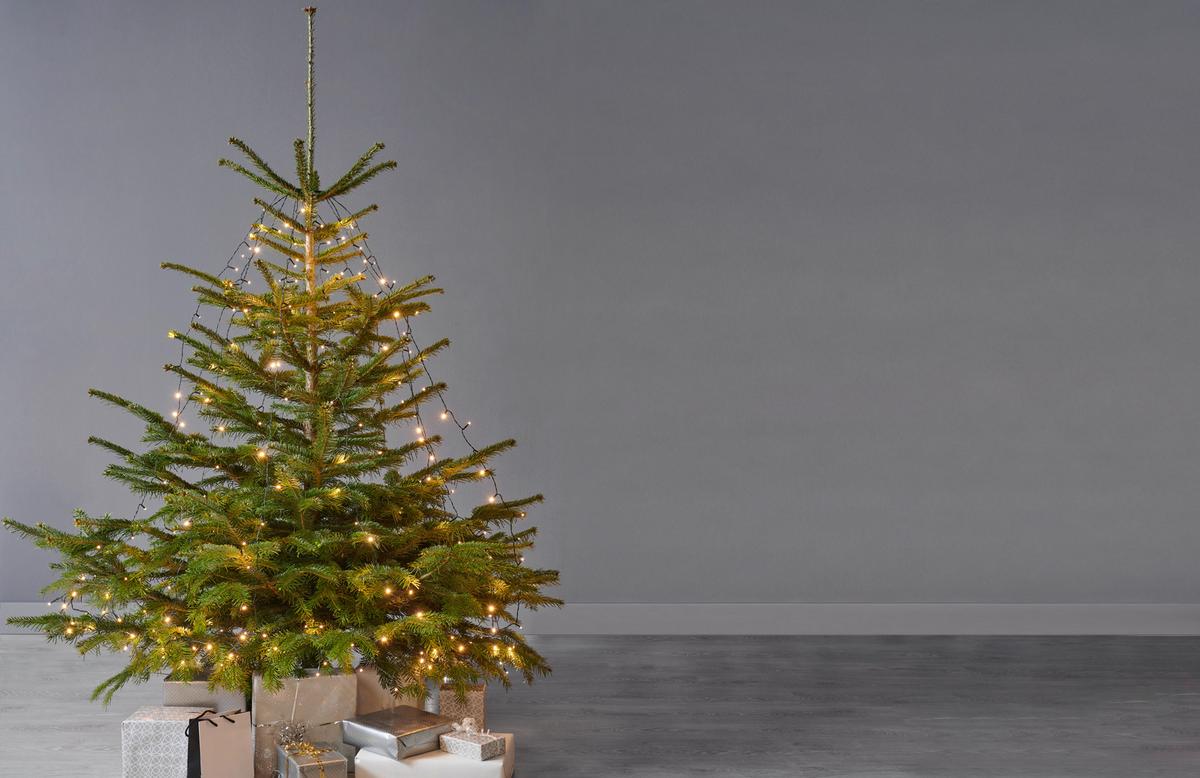 Fényfüzér Drübi - zöld, Modern (250cm) - Premium Living