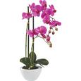 Umetna Rastlina Maire - lila/zelena, kovina/umetna masa (50cm) - Mömax modern living Umetna Rastlina Maire - lila/zelena, kovina/umetna masa (50cm) - Mömax modern living