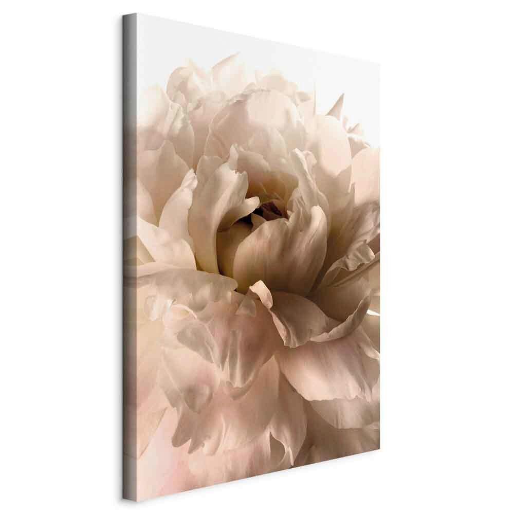Slika Na Platnu Soft Petals - bela/sivobela, Basics, tekstil/leseni material (40/60/1.2cm) - artgeist