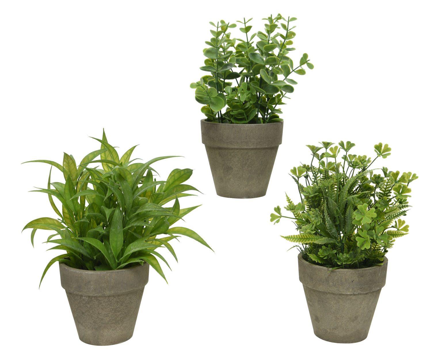 Plantă artificială Blum - Basics (20/25cm)