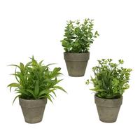 Plantă artificială Blum - Basics (20/25cm)