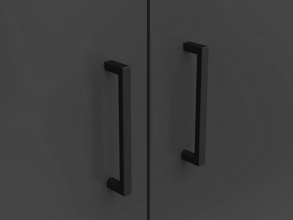 Schrank Multistauraum Graphitfarben - Graphitfarben/Schwarz, MODERN, Holzwerkstoff/Kunststoff (80cm) - Mömax
