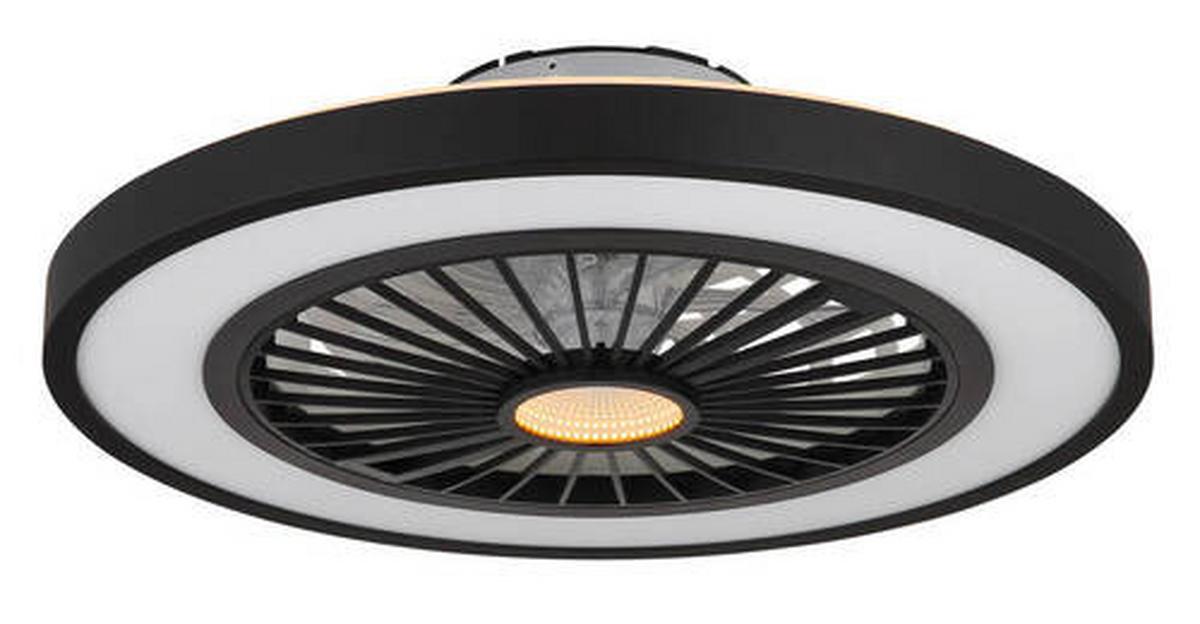 Stropni Ventilator 03653 Bizzak - črna/prosojno, Konvencionalno, kovina/umetna masa (54/15,9cm) - Globo
