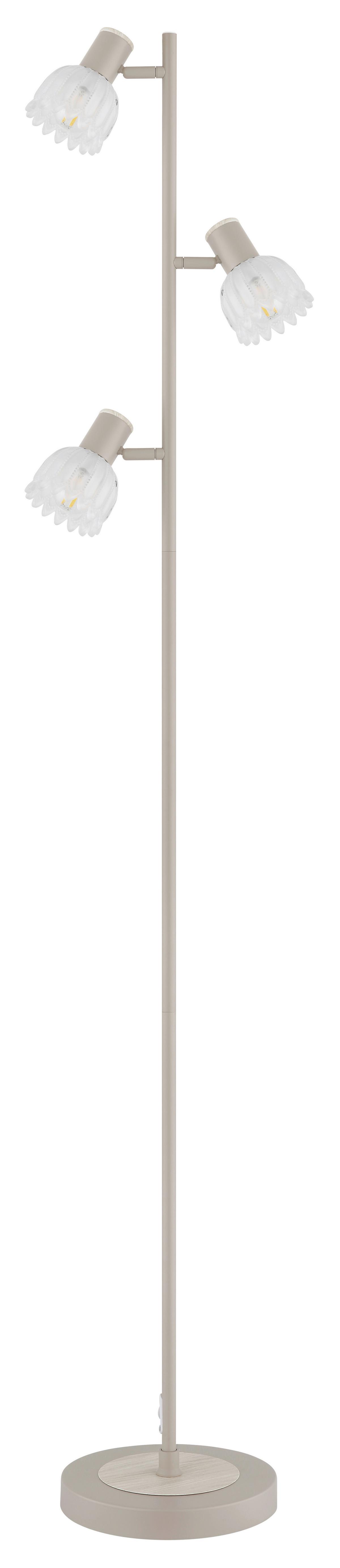 Podna Svjetiljka Planta - boje pijeska/crna, Konvencionalno, staklo/metal (28/23/154cm) - Globo