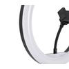 LED-RINGLAMPA TOFO - svart, Modern, metall/plast (24,5/38cm) - Mömax