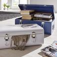 Truhe Urban in Blau - Blau, LIFESTYLE, Metall (47/19,5/27cm) - MÖMAX modern living