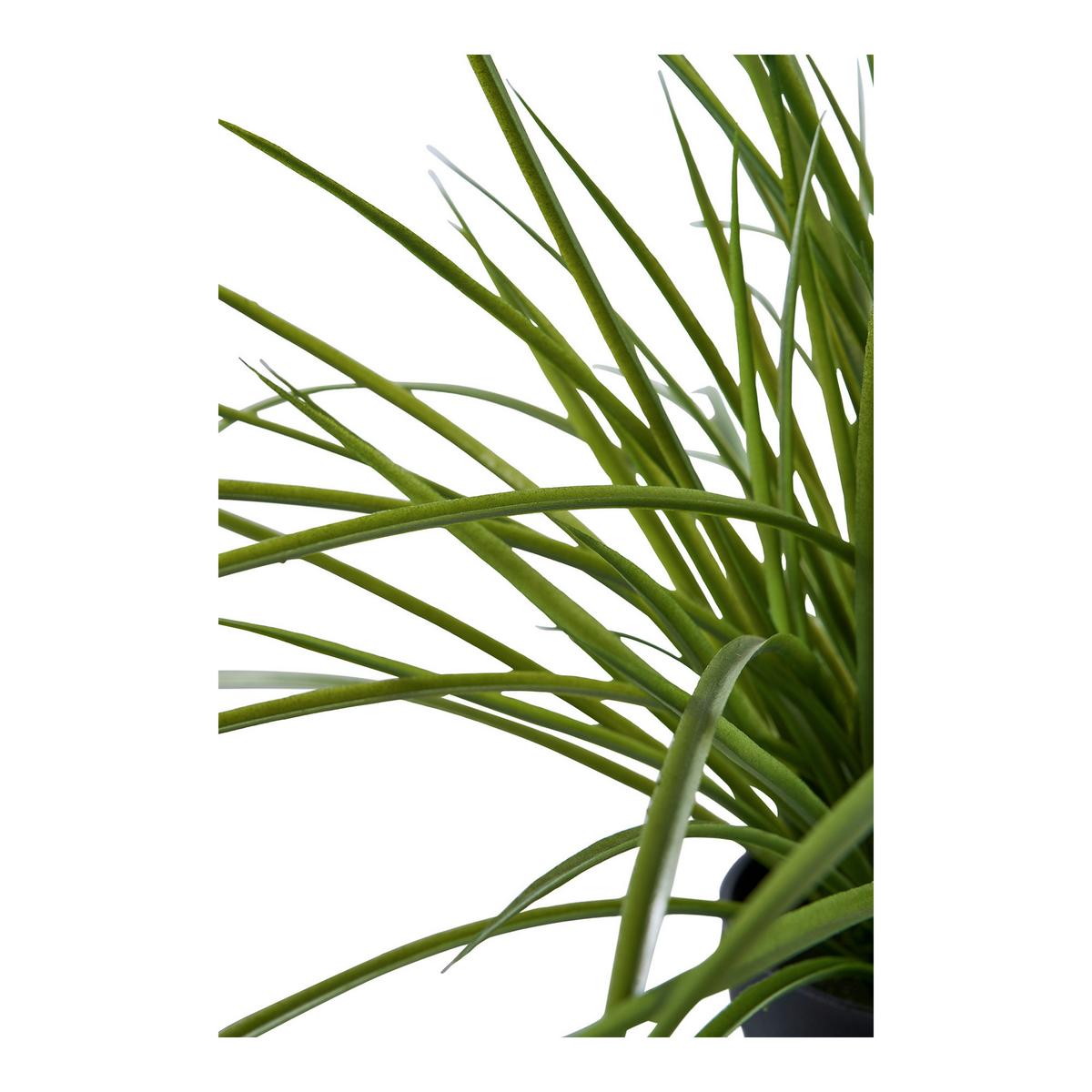 Kunstpflanze Grass Grün - Grün, Design (51/45/51cm)