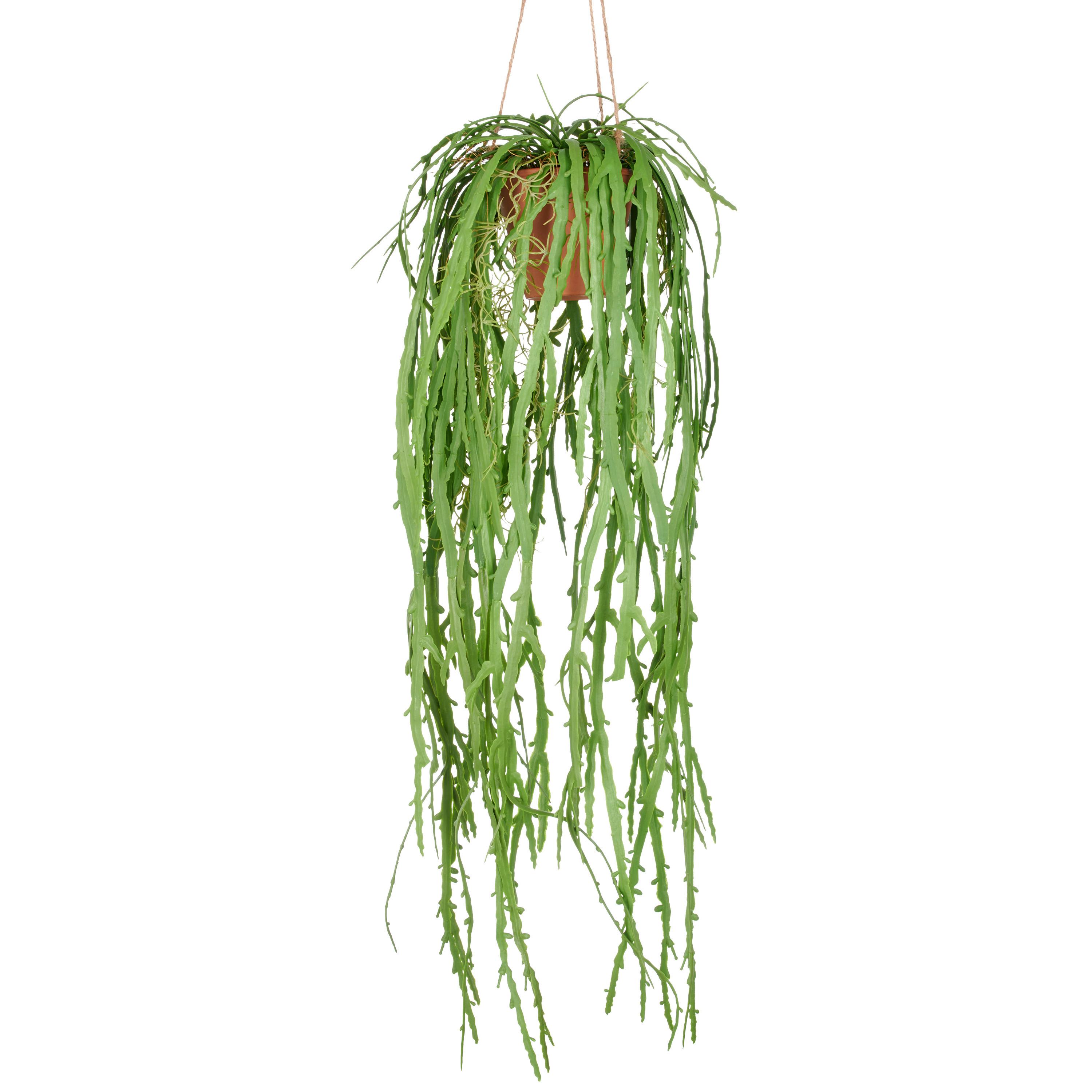 Kunstpflanze Rhipsalis Crispata Grün ca. 80cm - Naturfarben/Grün, Basics, Kunststoff (80cm) - P & B