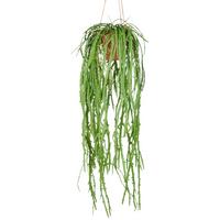 Kunstpflanze Rhipsalis Crispata Grün ca. 80cm - Naturfarben/Grün, Basics, Kunststoff (80cm) - P & B
