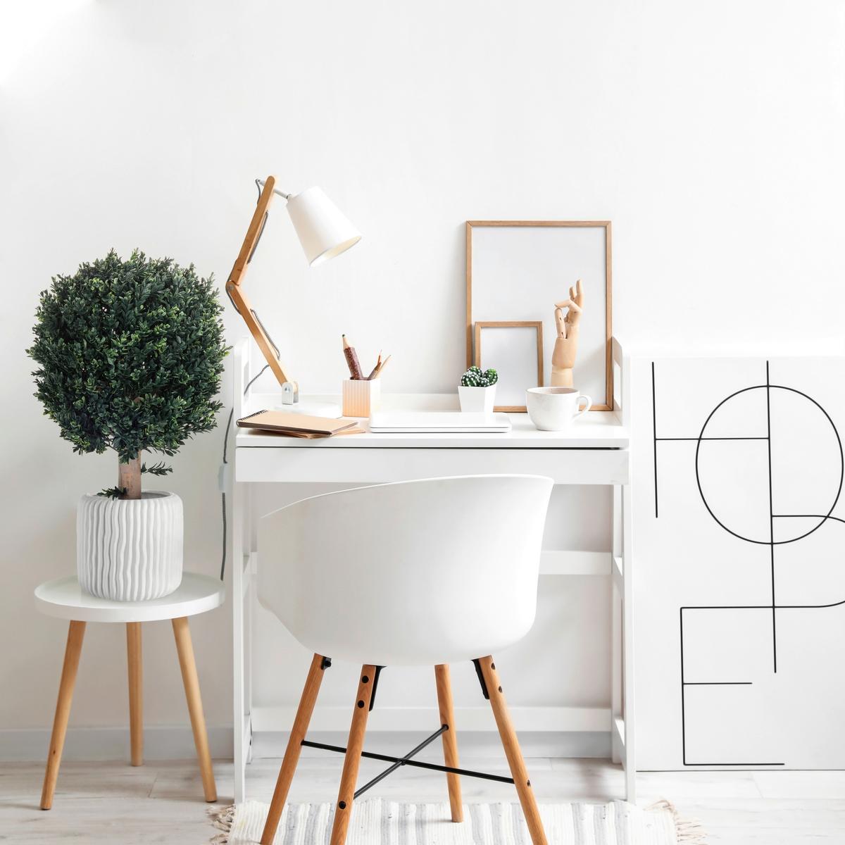 Umetna Rastlina Buxus - črna/zelena, Basics, umetna masa (40/65/40cm) - MID.YOU