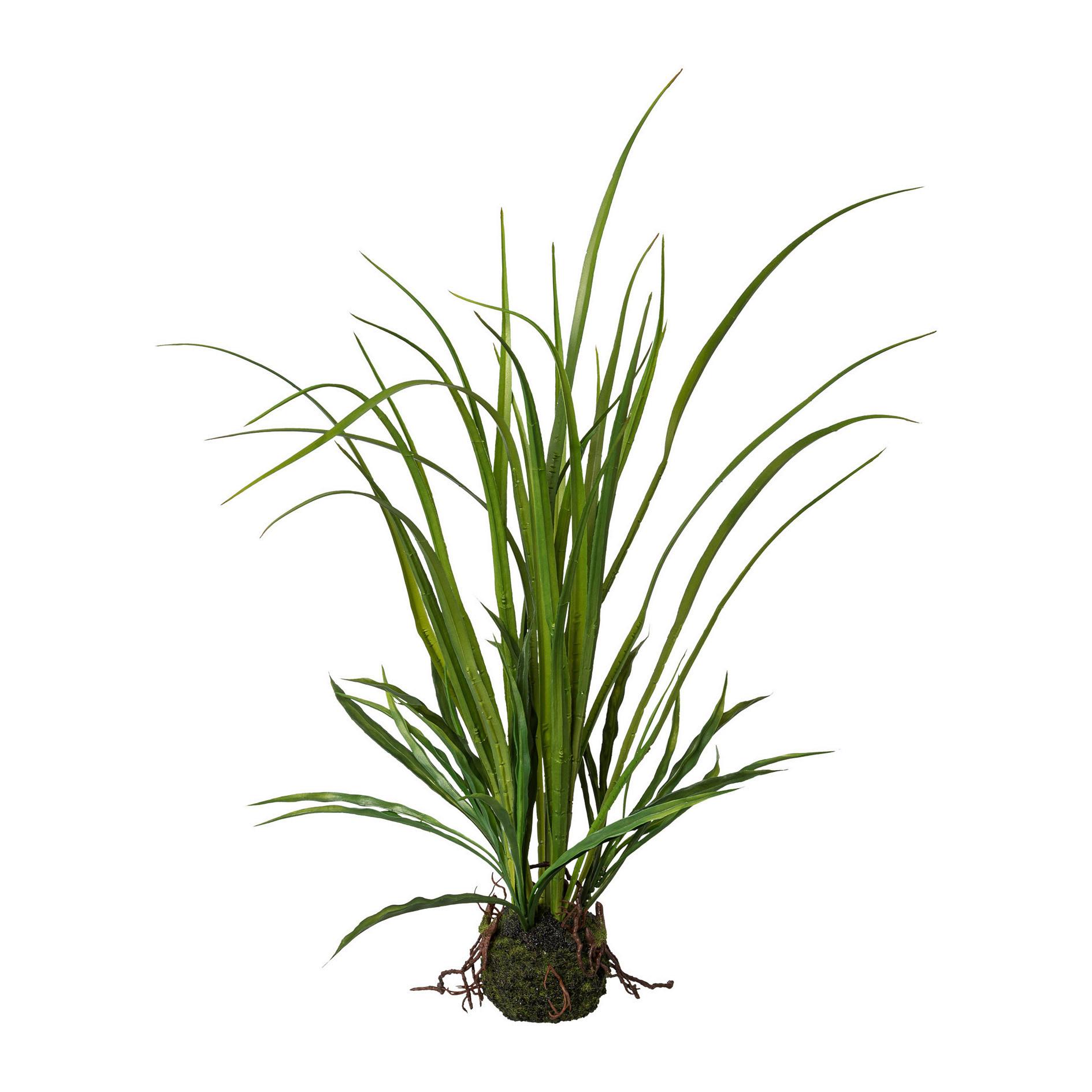 Kunstpflanze Grün - Grün, Basics, Kunststoff (53/71cm)