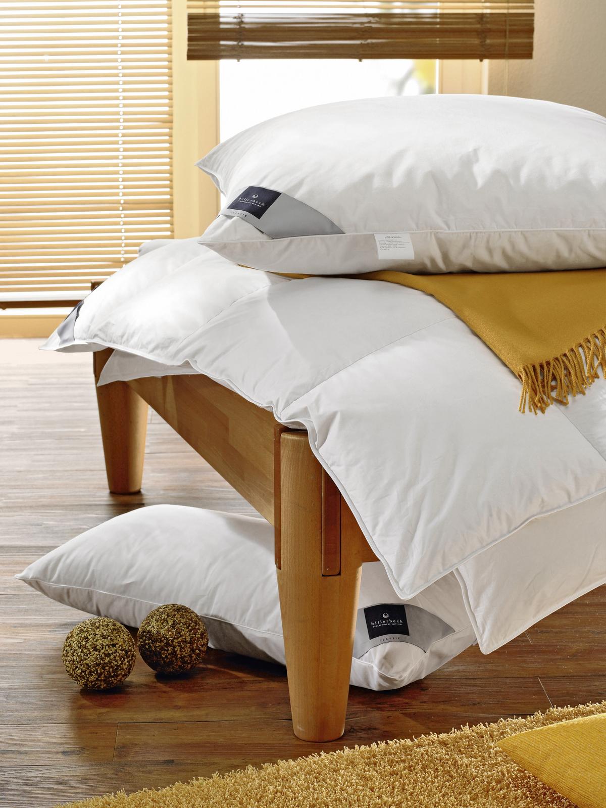 PODUSZKA POD GŁOWĘ COSIDREAM - szampanowy, Basics, tkanina (80/80cm) - Billerbeck