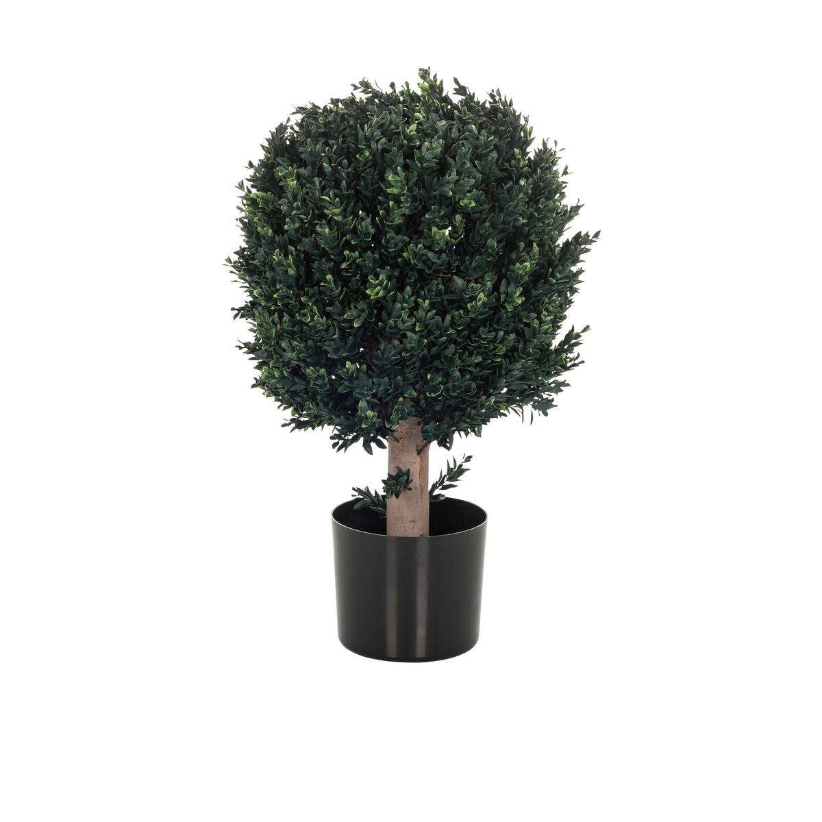Umetna Rastlina Buxus - črna/zelena, Basics, umetna masa (40/65/40cm) - MID.YOU