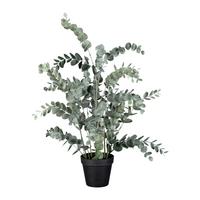 Kunstpflanze Eukalypthus Grün ca. 67cm - Grün, Basics, Kunststoff/Metall (67cm)