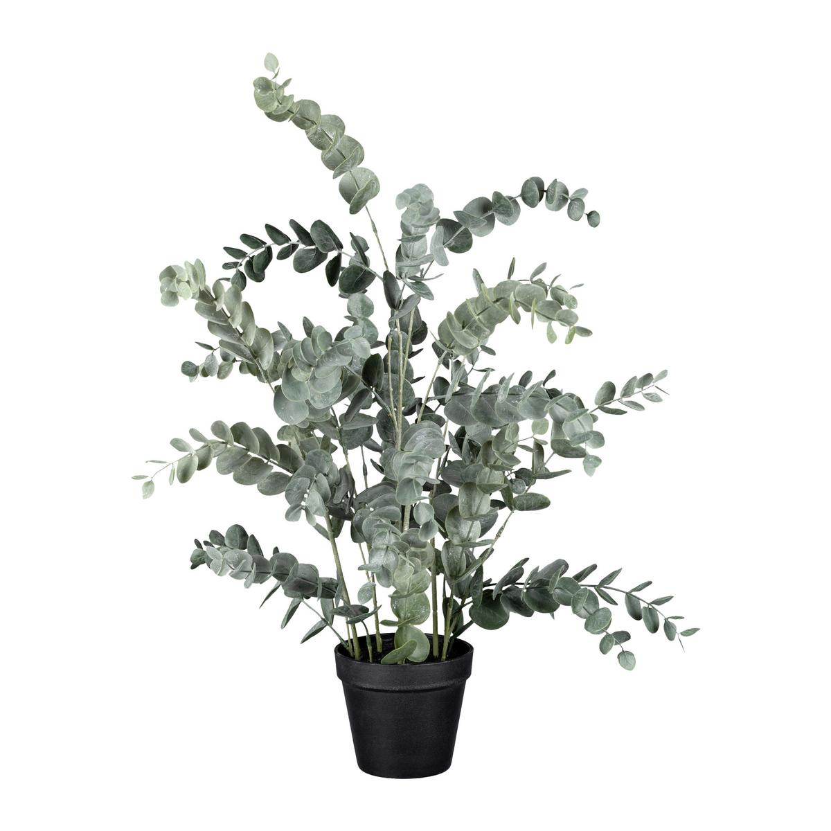 Kunstpflanze Eukalypthus Grün ca. 67cm - Grün, Basics, Kunststoff/Metall (67cm)