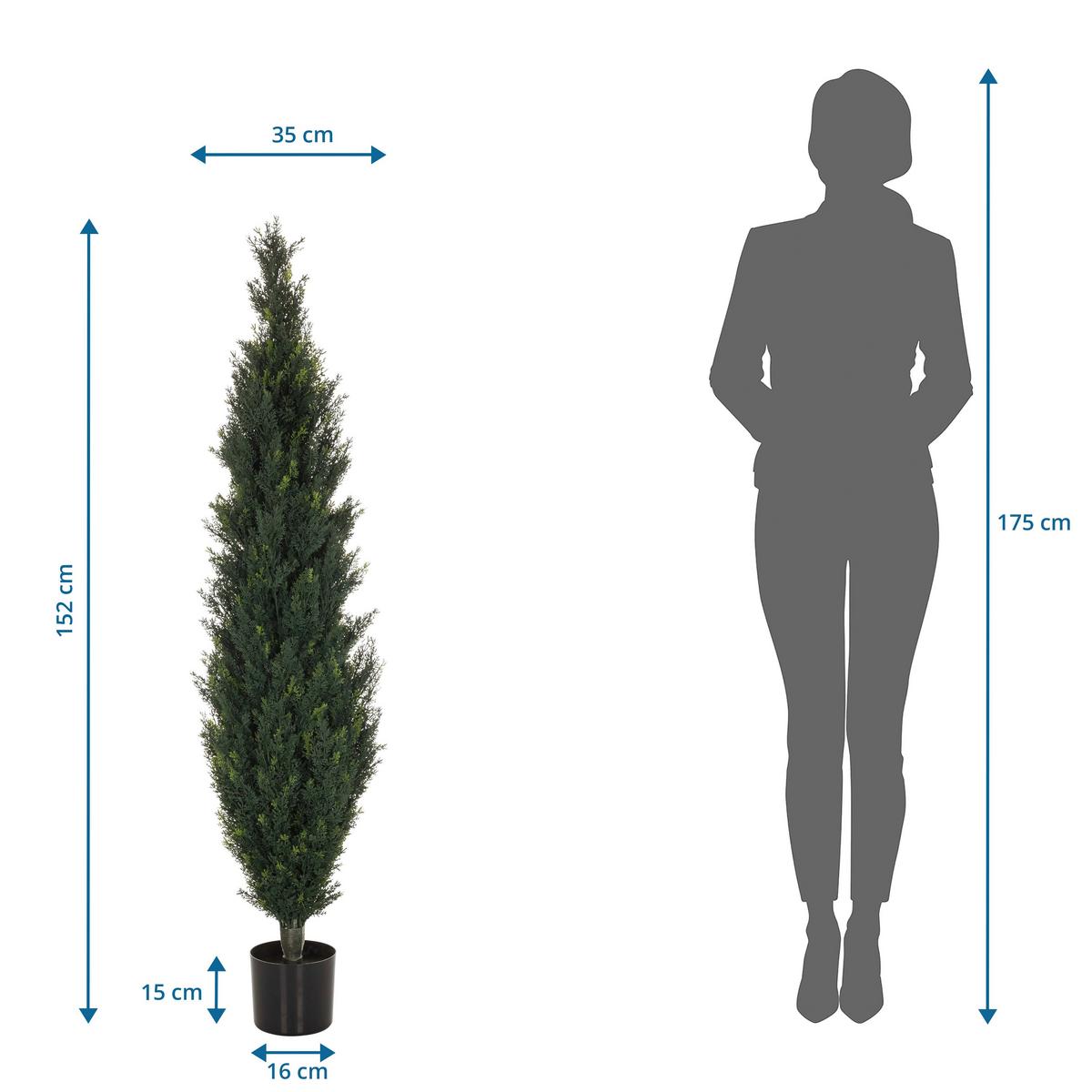Umetna Rastlina Cedrus - črna/zelena, Basics, umetna masa (35/152/35cm) - MID.YOU