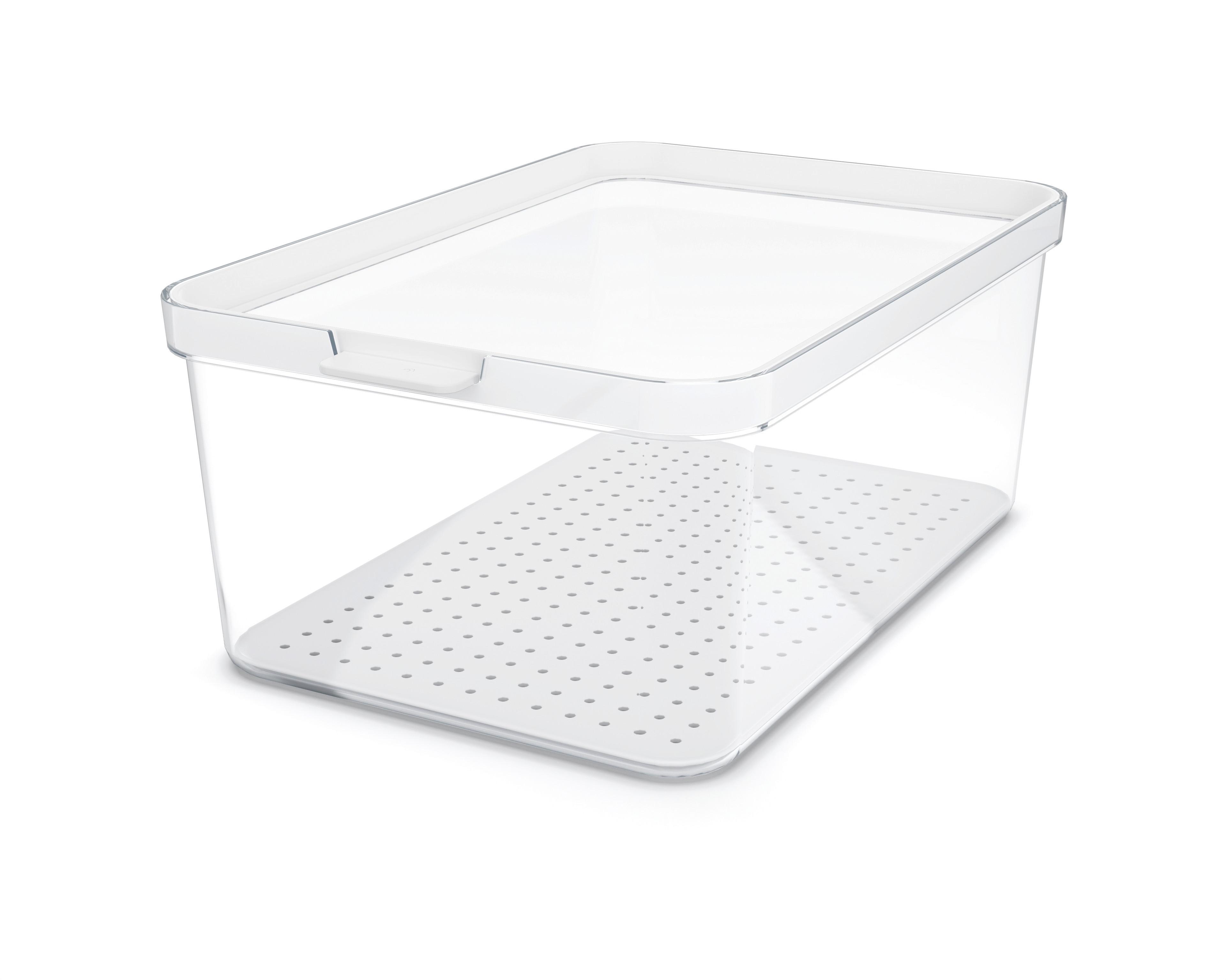 POJEMNIK DO LODÓWKI 1053801100 - przejrzysty/biały, Basics, tworzywo sztuczne (28,2/18,4/11,3cm) - Rotho