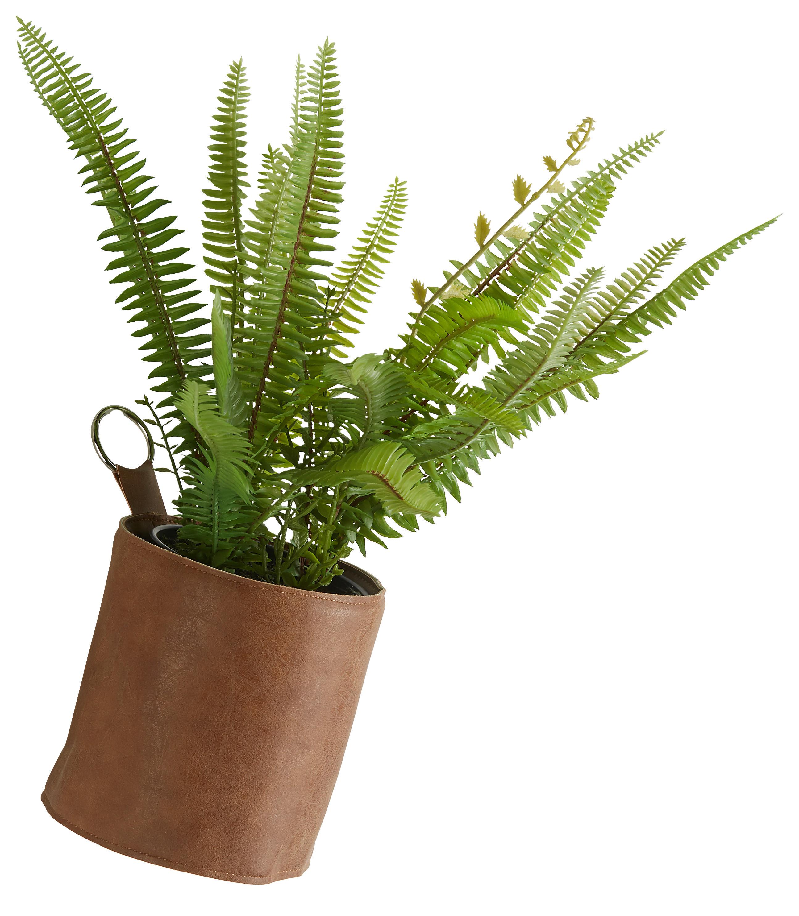 Cvetlični Lonček Mette - svetlo rjava, kovina/umetna masa (12,5/14cm) - Modern Living