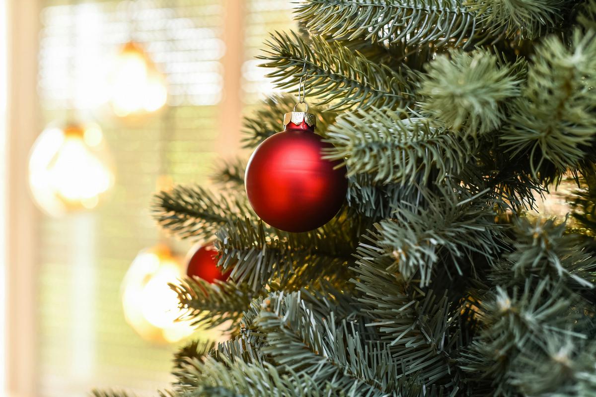 Weihnachtsbaum Evergreen Vermont Waldgrün H: ca. 210cm - Waldgrün, Basics, Kunststoff (150/210cm)