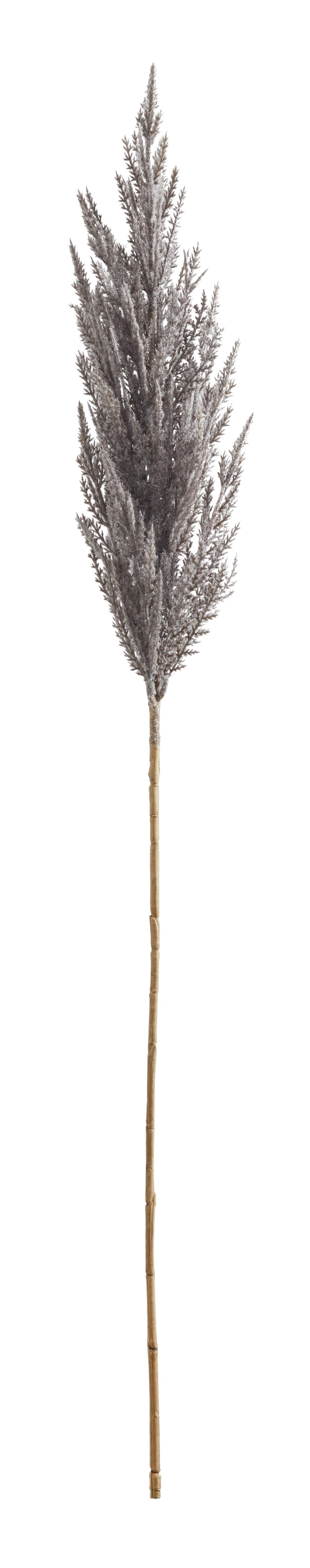 Dekor Gally Pampa - natúr/szürke, Lifestyle, műanyag (95cm) - Modern Living