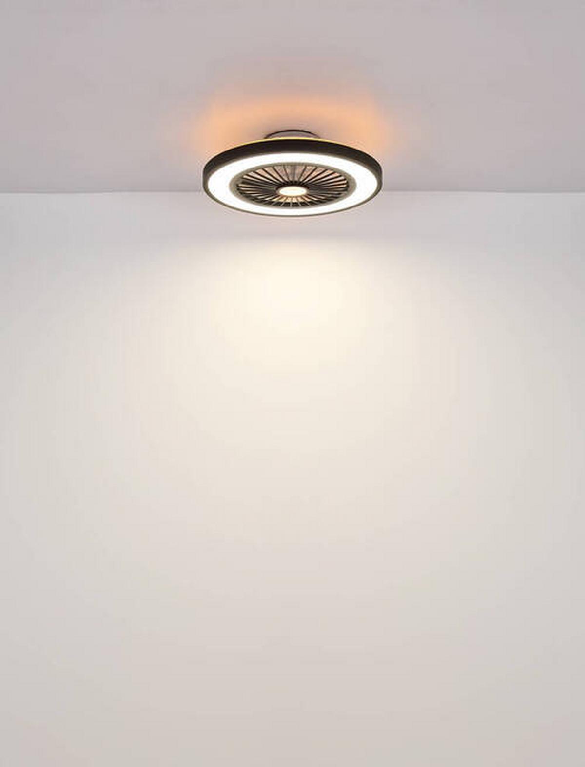 Stropni Ventilator 03653 Bizzak - črna/prosojno, Konvencionalno, kovina/umetna masa (54/15,9cm) - Globo