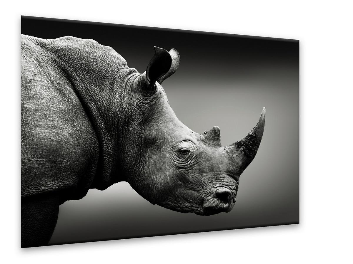 Glasbild Vetro ca. 70x100cm - Schwarz/Weiß, Glas/Papier (100/70cm) - Modern Living