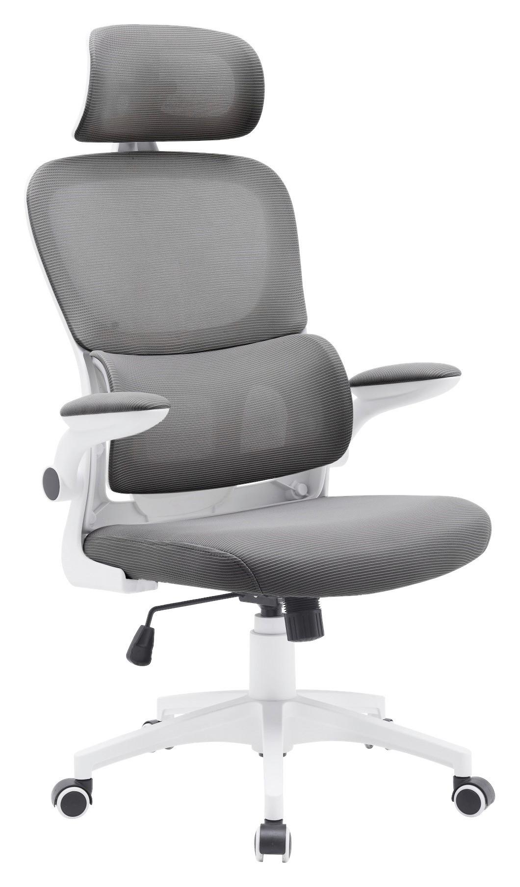 Pisarniški Stol Gary 2 V Sivi/beli Barvi - siva/bela, Moderno, umetna masa/tekstil (62/115-125/65cm) - Mömax