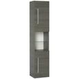 Hochschrank in Mooreichefarben - Chromfarben/Mooreichefarben, MODERN, Glas/Holzwerkstoff (35,5/169/32cm) - PREMIUM LIVING