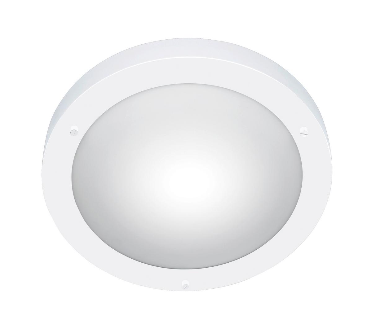 Badezimmer-Deckenleuchte Condus in Weiß max. 60 Watt - Weiß, Basics, Glas/Metall (31,5/8,0cm) - Trio Leuchten