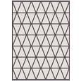 Flachwebeteppich Phoenix ca. 160x230cm - Anthrazit/Grau, MODERN, Textil (160/230cm) - Modern Living Flachwebeteppich Phoenix ca. 160x230cm - Anthrazit/Grau, MODERN, Textil (160/230cm) - Modern Living