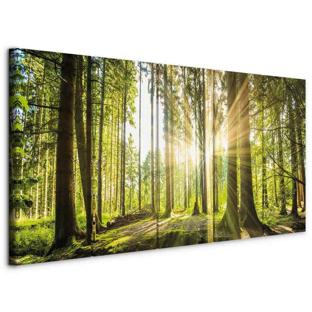 Leinwandbild Sunlight Grün ca. 200x80cm - Waldgrün/Hellgrün, Basics, Holzwerkstoff/Textil (200/80/1.2cm) - artgeist