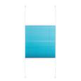 Plise Free - petrolej, tekstil (50/130cm) - Premium Living Plise Free - petrolej, tekstil (50/130cm) - Premium Living