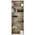 Regal Tempra - siva/hrast, Moderno, kovina/umetna masa (72/198/34cm) - Mömax modern living Regal Tempra - siva/hrast, Moderno, kovina/umetna masa (72/198/34cm) - Mömax modern living