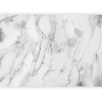 Fototapeta Great Peace, 250x175cm - siva/sivobela, Trendi, tekstil (250/175cm) - artgeist