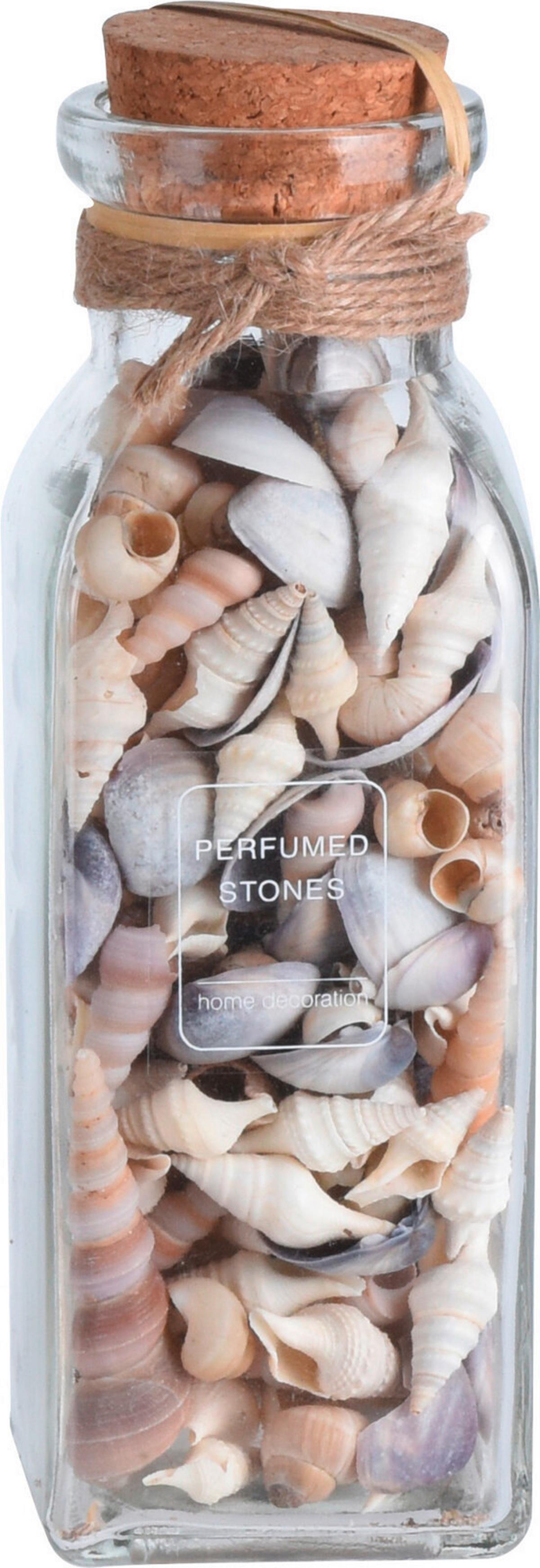 Dekor Kagyló Shellby - természetes anyagok (6/6/19cm)