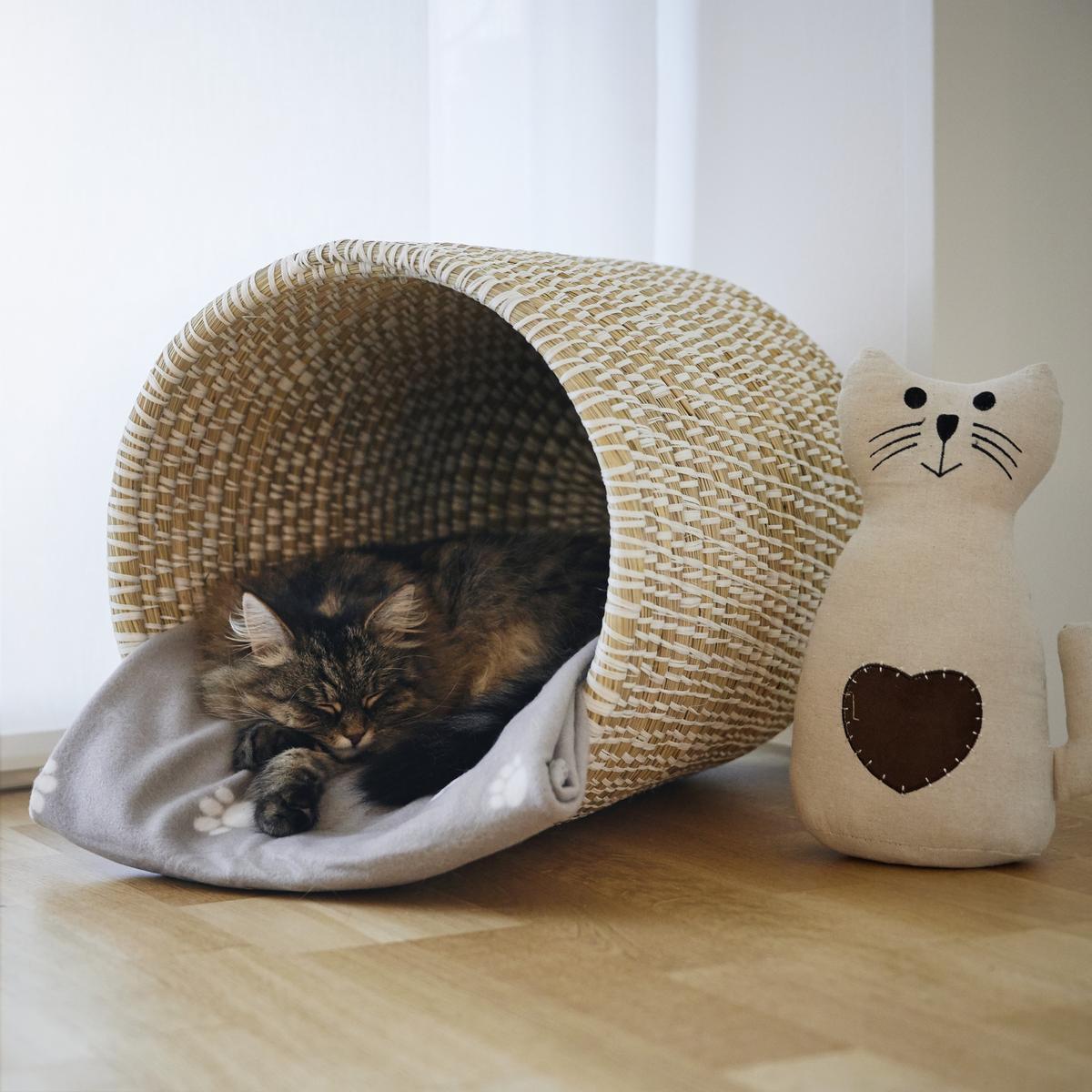 Polár Pléd Pet - bézs, textil (120/150cm) - Modern Living