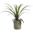 Umetna Rastlina Agave Ii - zelena, Konvencionalno, umetna masa (35 cmcm) - Mömax modern living Umetna Rastlina Agave Ii - zelena, Konvencionalno, umetna masa (35 cmcm) - Mömax modern living